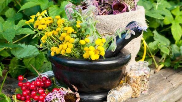 Decocções de plantas