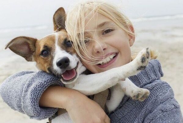 infecção parasitária de um cachorro