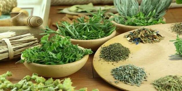 cravo contra parasitas no corpo