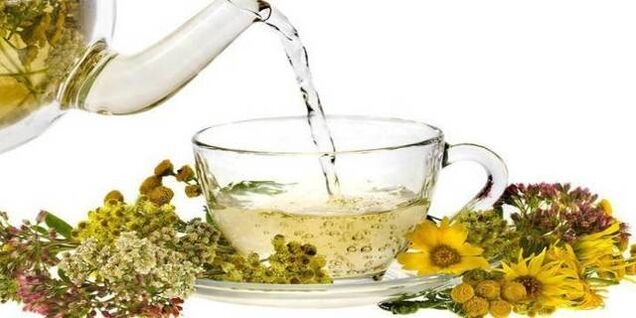 decocção para limpeza de parasitas