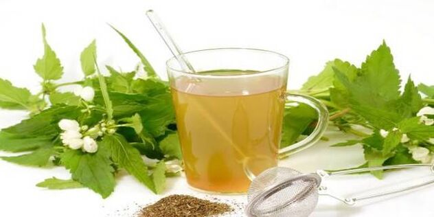 tintura de ervas contra parasitas