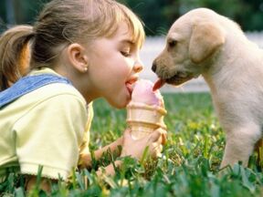 menina toma sorvete com cachorro e fica infectada com parasitas